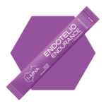 Endotelio Endurance - 30 saszetek